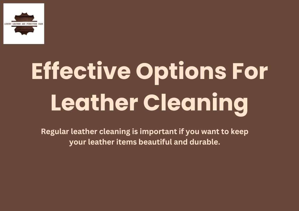 effective options for cleaning leather